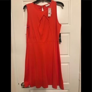 NY & Co Orange fit and flare dress. NEVER WORN!!!